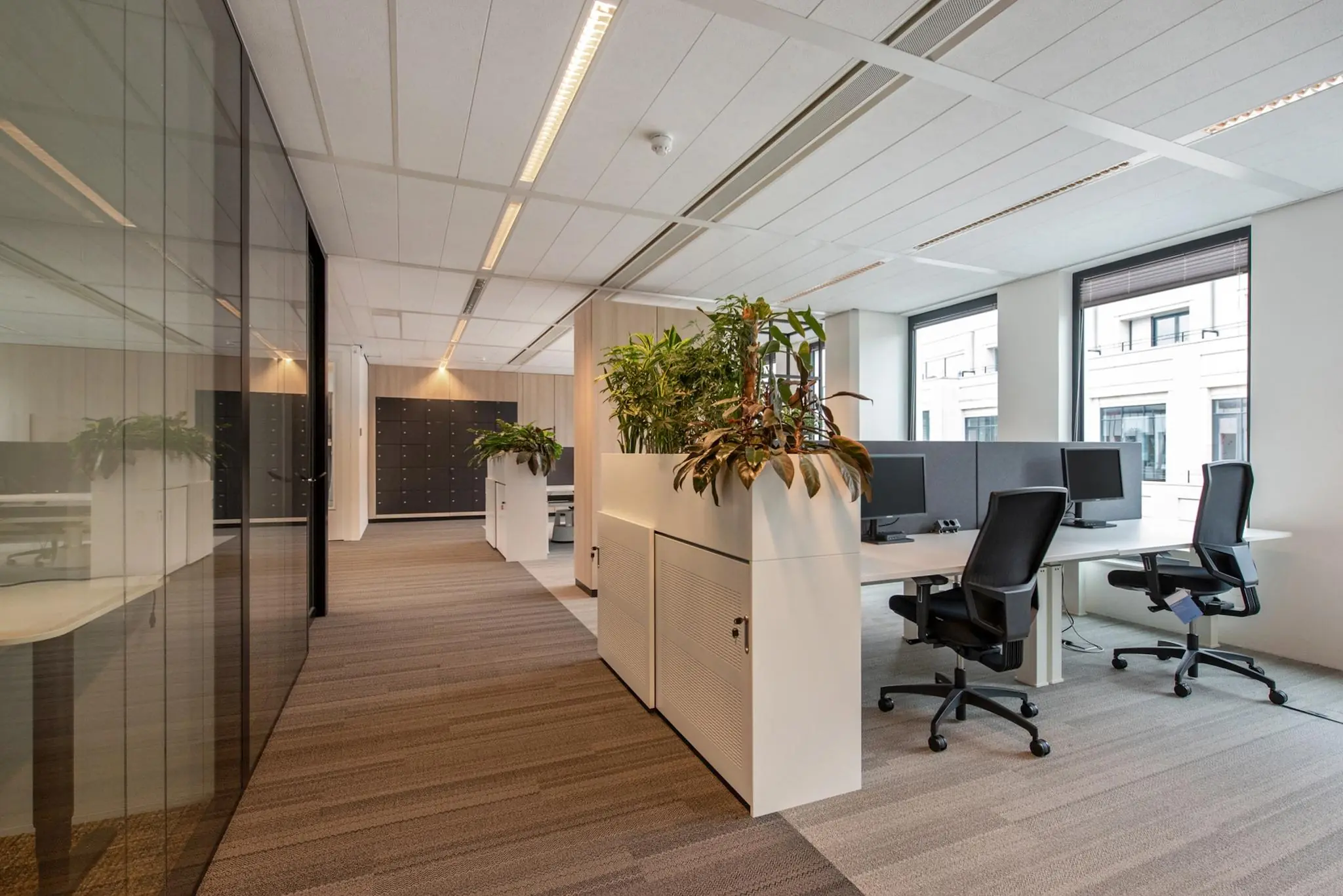 Moderne kantoorruimte aan de Grote Marktstraat met bureaus, bureaustoelen, plantenbakken en veel daglicht.